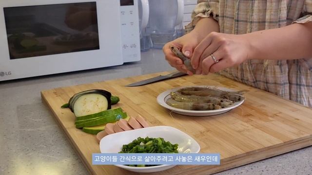 (SUB)VLOG?텐동 만들어먹고, 쪽파김치만들어 짜슐랭, 초간단 요거트 케이크만들기, 착즙 오렌지주스와 영양만점 샌드위치, 식자재소분하고 떡볶이만들어 먹는 일상 смотреть онлайн