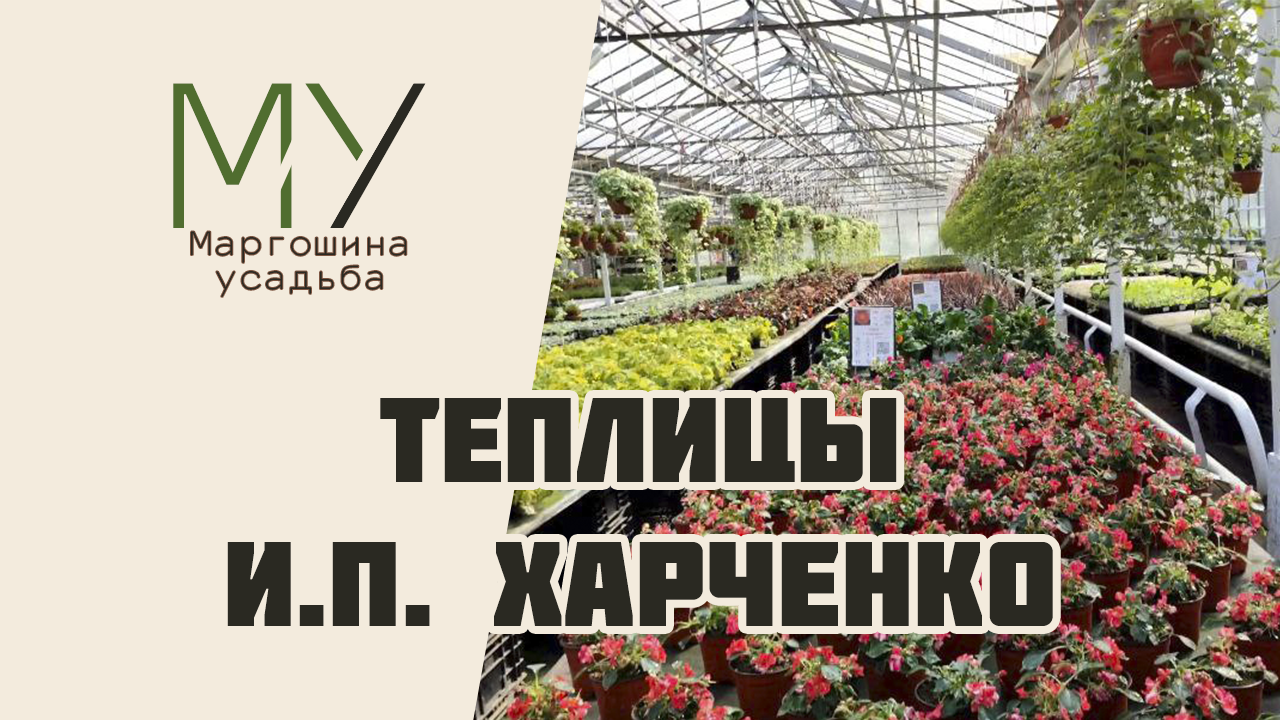 Питомник роз харченко. Теплицы ИП Харченко. Харченко питомник. Харченко питомник растений каталог. Харченко питомник растений официальный сайт.