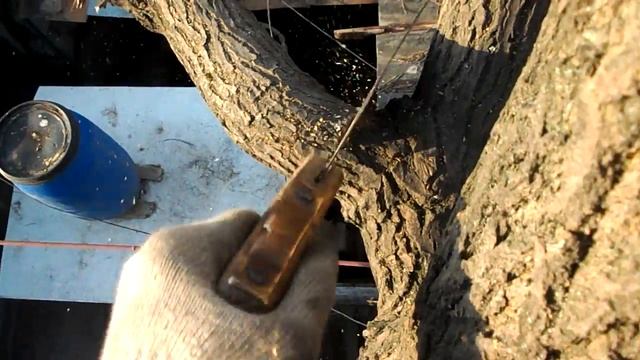 Спиливание дерева смотреть онлайн