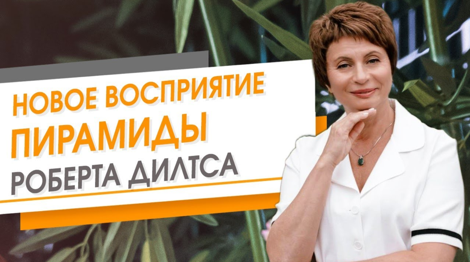 Новое восприятие пирамиды Роберта Дилтса. Елена Ачкасова