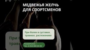 Медвежья желчь. Травмы, растяжения. Спортсмены. Медвежья желчь купить. Медвежья желчь польза