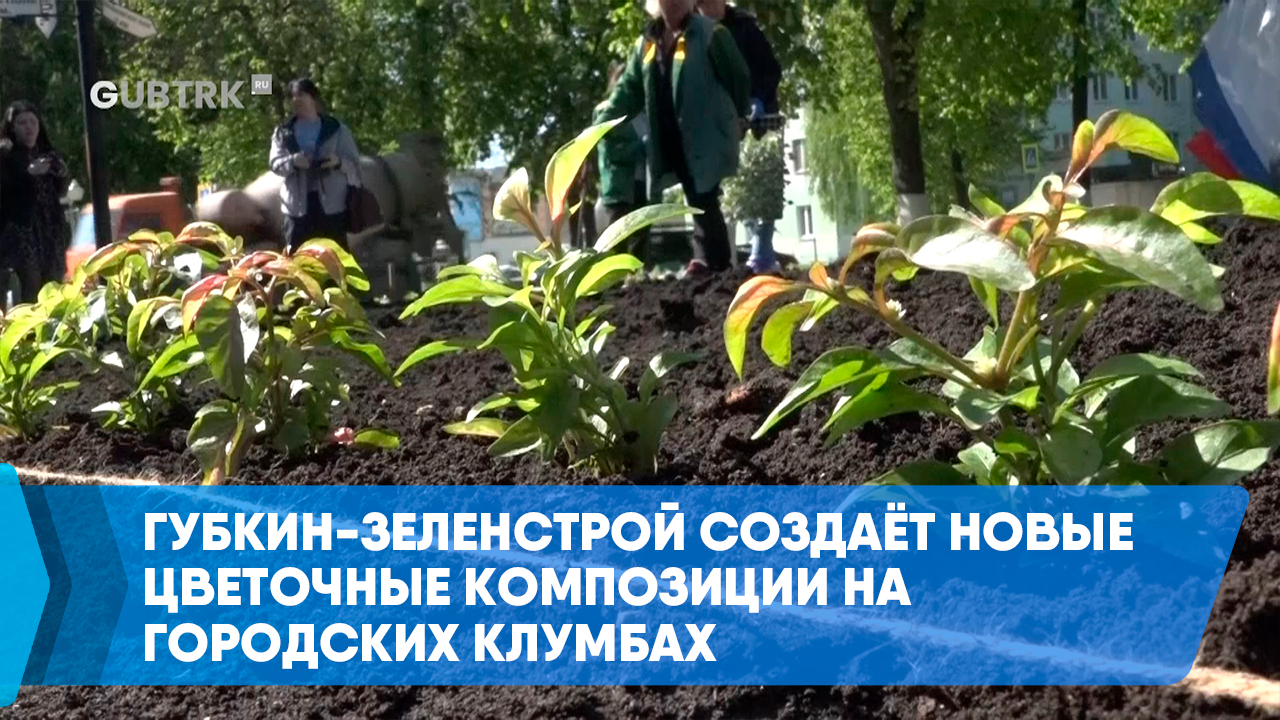 Губкин-Зеленстрой создаёт новые цветочные композиции на городских клумбах