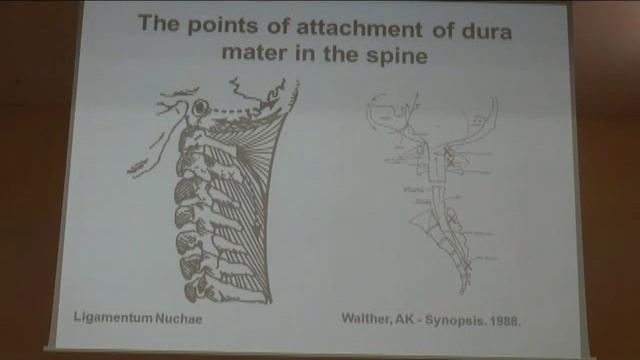 Gyd. Olegas Suchorukovas смотреть онлайн