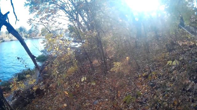 Ловля плотвы осенью на реке Северский Донец смотреть онлайн