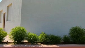 PHARAOH AZUR RESORT 5*. Часть 1