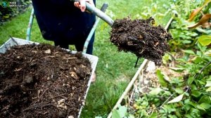 Переработка опавших листьев. Бизнес идея