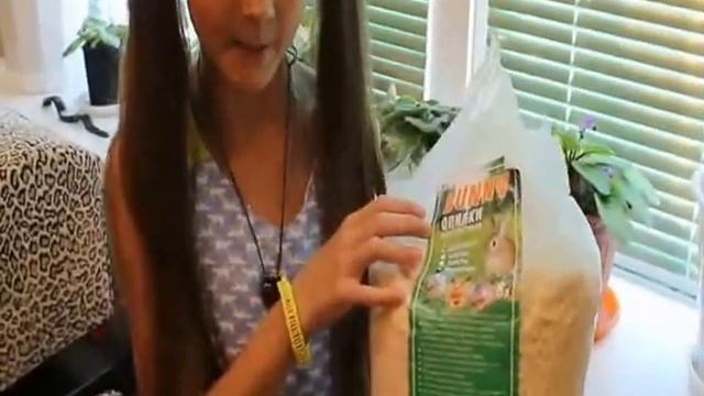 Мой уход за джунгарским хомяком смотреть онлайн