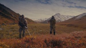 Kamchatka hunting. Охота на Камчатке. Корякский, Чукотский, Колымский снежный баран. Колымский лось