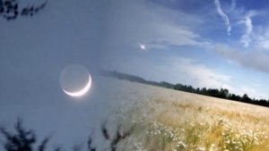 Трио Реликт Спит ковыль