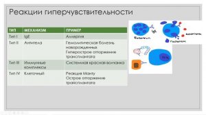 Реакции гиперчувствительности. Кратко