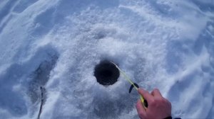 Рыбалка средняя полоса россии  Брянской области, Комаричи ,деревня Аркино