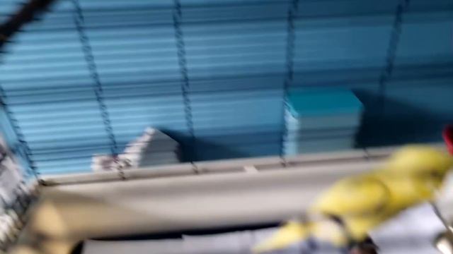 Режим мультикадр на Samsung Galaxy S21 смотреть онлайн