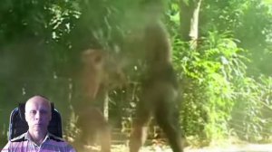 Понги тхайн.mp4