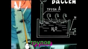 ВОВКА И БИБА С ВИЛКОЙ/Вовка в тридевятом царстве RYTP