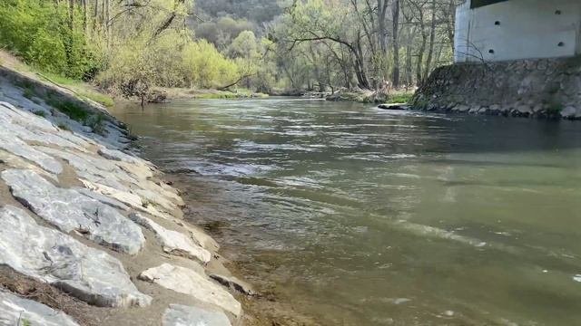 Сплав по реке Морава