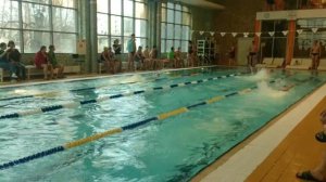 Плавание кролем 50 м, женщины - Соревнования по плаванию 2016 "Fitness House TROPHY" 1 этап