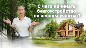 УЧАСТОК В ЛЕСУ! С чего начинать благоустройство?