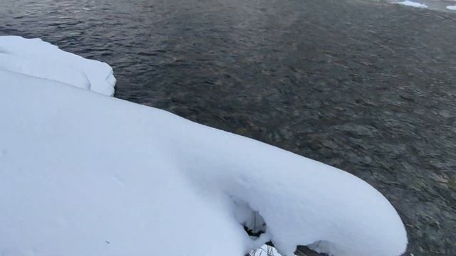 ШОК! НАЙДЕНА АЛТАЙСКАЯ ИЗБА! | ПЕЙЗАЖИ ЛЕДЯНОГО ЧУЛЫШМАНА | РЫЖИЙ ЗВЕРЬ ИЛИ ШАКАЛ? (Зимний Алтай #3 смотреть онлайн