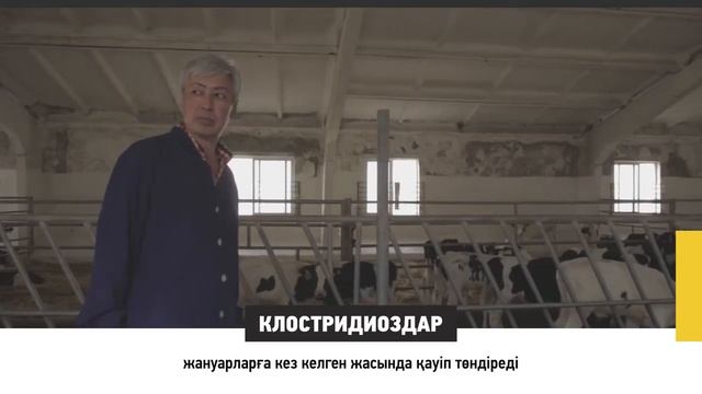 Бұзаулардың вирустық және бактериялық инфекцияларының алдын алу смотреть онлайн