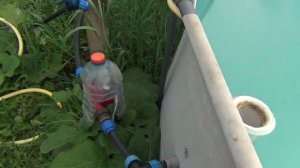 Многолетний опыт использования бассейна, очистительной станции, усовершенствования и прочее