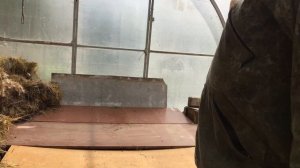 Борьба с Мухами и Муравьями в теплице. Часть четвертая.