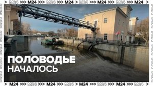 Половодье началось в столичном регионе - Москва 24