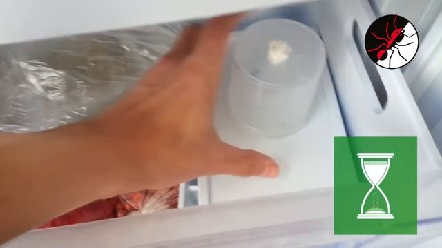 Выведение кормовых насекомых. Два способа извлечения мух.