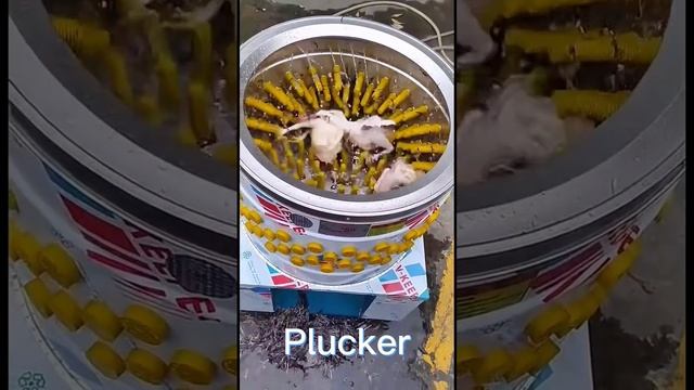 Efficient and Effective: The Cylinder Plucking Machine in Action