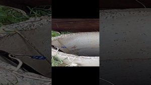 Копаем колодец ч.5