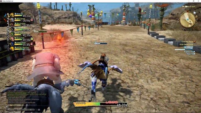 Final Fantasy XIV | Chocobo Racing 6