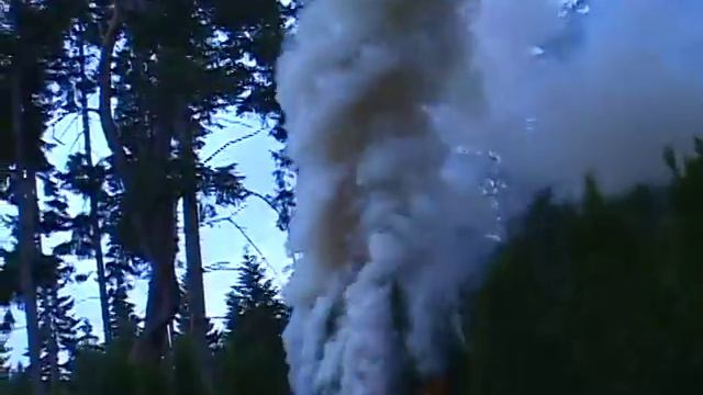 Burn a hedge смотреть онлайн