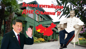 Дача Сталина в Сочи - самый необычный и интересный маршрут к ней.