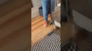 Стыдно, когда видно 😂