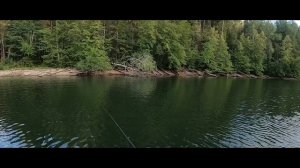 Павловское водохранилище.