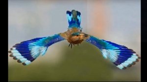 День Светланы