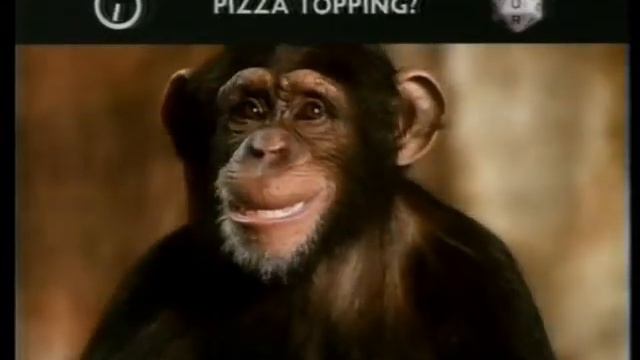 Scattergories (Australian ad) 1991 смотреть онлайн