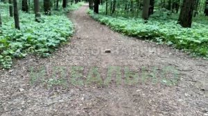 ЛУЧШИЕ РЕПЛИКИ ПОРТАТИВНЫЕ КОЛОНКИ MARSHALL EMBERTON И WILLEN КОМПАКТНЫЕ ТРЕНДОВЫЕ КОЛОНКИ ЛУЧШЕ JB