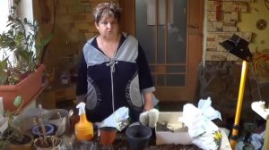 Эспостоа Шерстистая . Уход за Горными Кактусами ( Кактусы в "Пуховых Шубках")