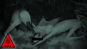 SCP-2191 - "Фабрика Дракулы"