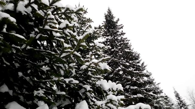 Сходили на родник покатались на лыжах ! /Судьба человека / Слово пацана / Вася на сене / смотреть онлайн