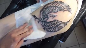 ТАТУ САЛОН ЛИПЕЦК TATTOO48  -  ( PHOENIX Феникс )