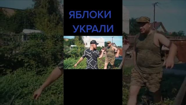 ЯБЛОКИ УКРАЛИ #Shorts