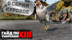 5 серия | Куровое | DayZ 1.17 | FEARLESS PvP