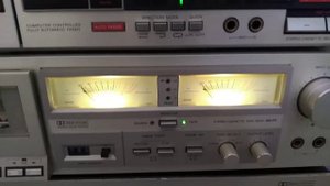 89049665851 Японский винегрет.Новый в Новом году