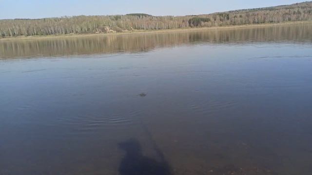 Час свободного времени проведенный на реке куда лучше, чем лежать на диване!Первый выезд с удочкой. смотреть онлайн