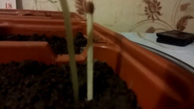 Уникальное удобрение! Урожай на зависть всем соседям! Прибавка урожая до 50%. смотреть онлайн