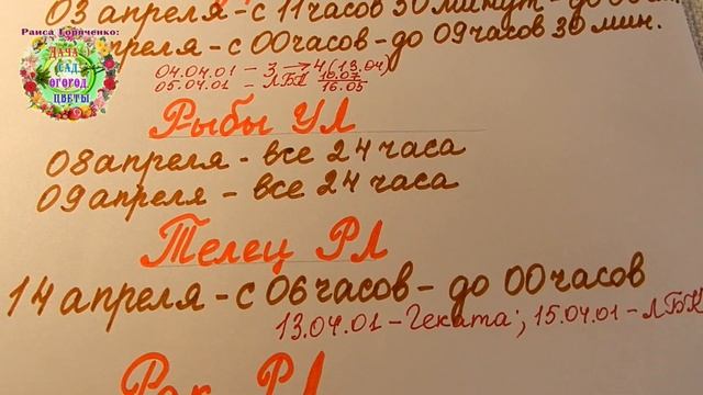 Когда пикировать рассаду овощных и цветочных растений в апреле 2021 года? Пикировка, пересадка смотреть онлайн