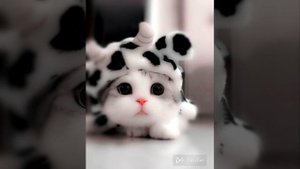 ♧Буду буду тебя зажимать (speed up)♧