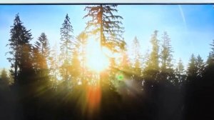 Телевизор Grundig 55 GFU 7800B