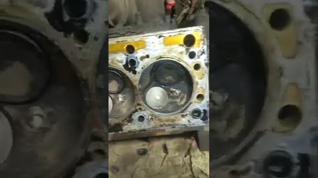 ЛОГАН. ПОСЛЕДСТВИЯ ПОПАДАНИЯ МАСЛА НА РЕМЕНЬ ГРМ